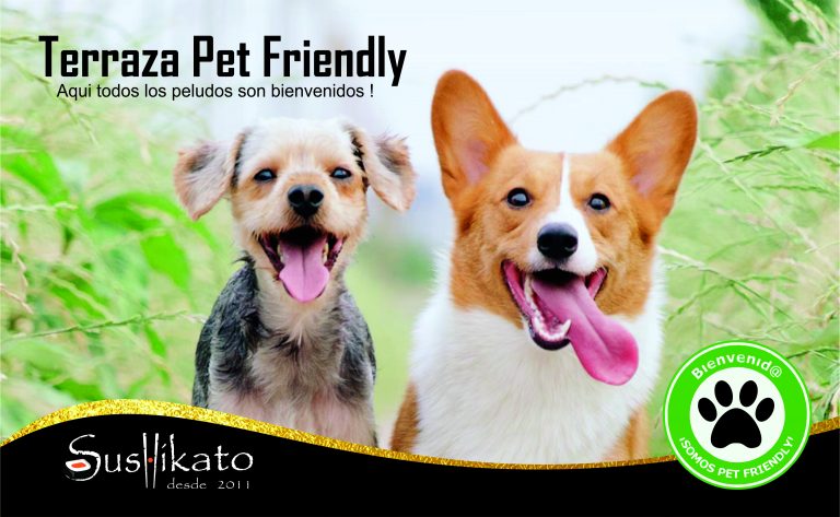 terraza pet friendly JPG